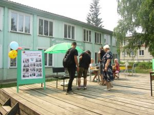IMG 6005