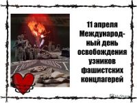11.04